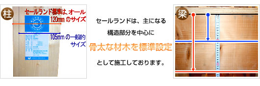 セールランドは、主になる構造部分を中心に骨太な材木を標準設定として施工しております。